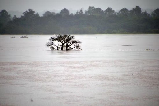 巴西南里奥格兰德州暴雨死亡人数升至56人