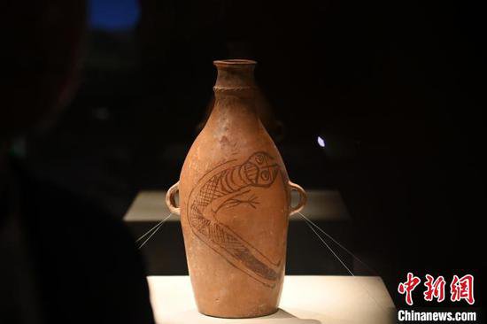 五千年前的鲵鱼纹彩陶瓶，为何冠绝“彩陶之乡”？