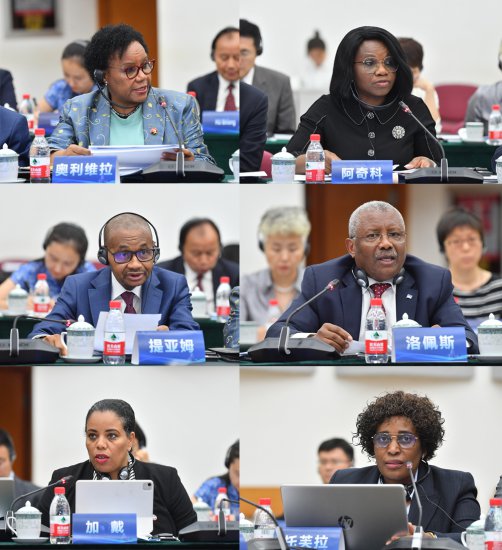 支持联合国教科文组织非洲<em>优先</em>合作对话会在北京师范大学召开
