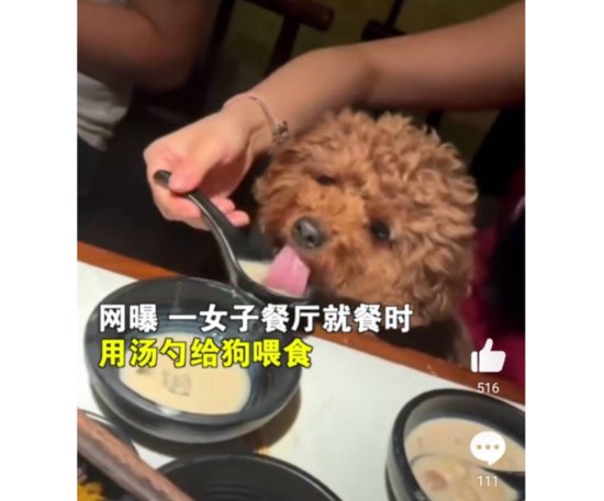 合适与否？江西宜春2名女子饭店吃饭将餐具放地上<em>喂狗</em>