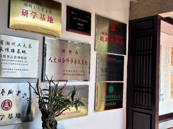 来潮州凤凰<em>单丛茶</em>博物馆，感受700年“茶王”的一呼一吸