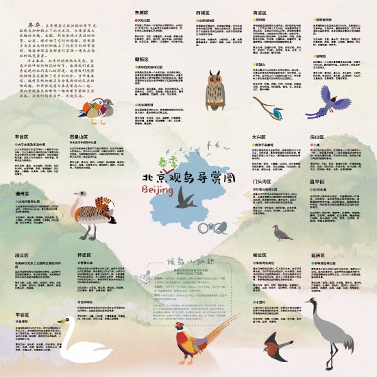 新发现4种鸟类 北京陆生<em>野生</em>动物增至612种