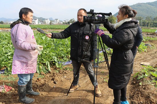 <em>贺州新闻网</em>到钟山县采访现代农业全产业链发展工作
