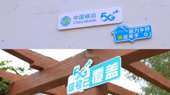 河南汝阳：甜瓜小镇的“5G密码”