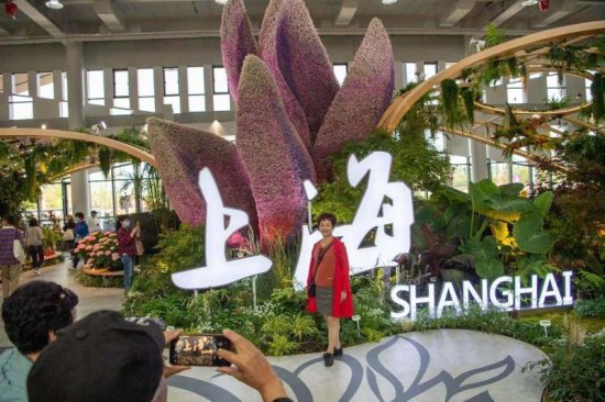 全市有1万余家花店，鲜切花年消费量国内最大…上海这些“花事”...