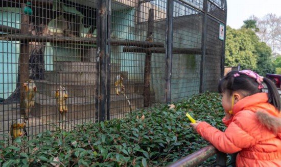 <em>鼠</em>年看“<em>鼠</em>”，上海动物园整出了那么多花样