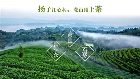 雅安名山：强势入榜！蒙顶山茶荣获“2023中国茶叶区域公用<em>品牌</em>·...