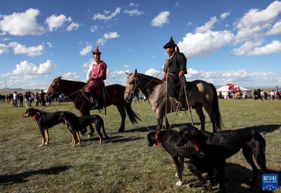 蒙古国：“<em>游牧民族</em>”世界文化节上的马术表演