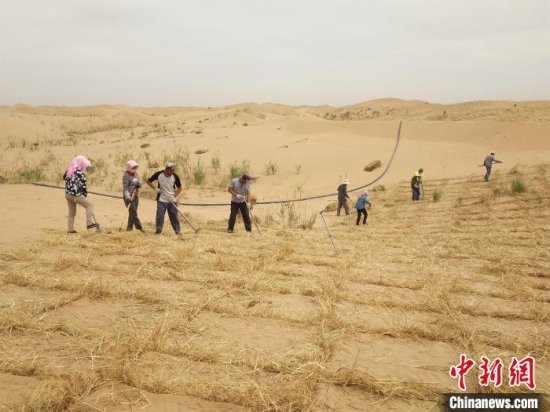 中国第八大沙漠上“<em>种</em>”出牛奶 农牧民拿到小康“<em>金</em>钥匙”