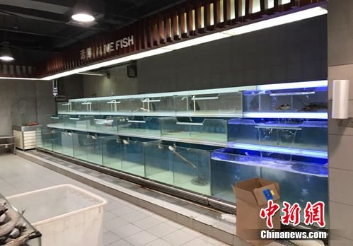 官方检查12省市水产品 北京部分超市未见有<em>活鱼卖</em>