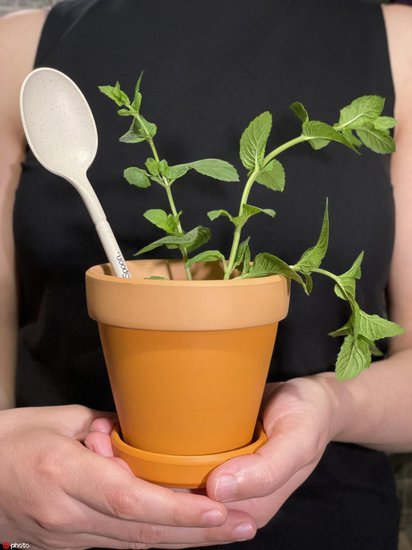 阿联酋迪拜公司开发出世界首款可种植餐具