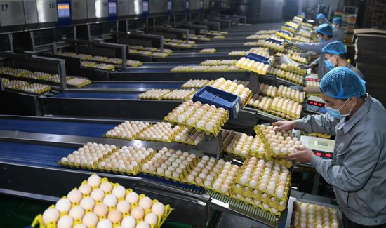稷山鸡蛋入选全国名特优新农产品名录