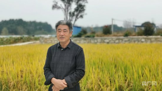 信阳市罗山县：稻谷飘香助推农业产业化发展