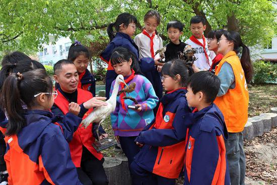 台州有个“爱鸟班”培育爱鸟护鸟“小达人”，共护生态家园