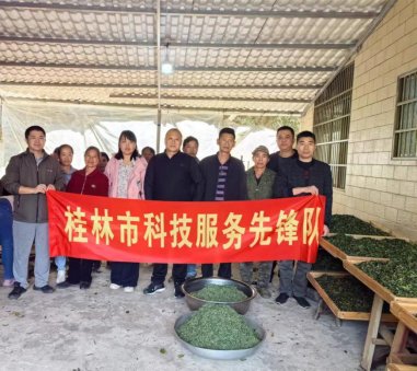 科技服务先锋队赴清江村开展石崖茶制茶技术培训
