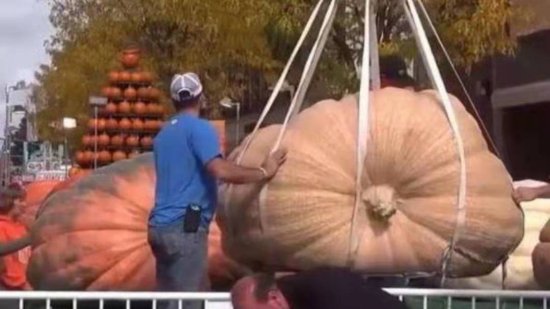 美国巨菜谷：萝卜2米长，是外星人实验菜园？科学家发现3个特点