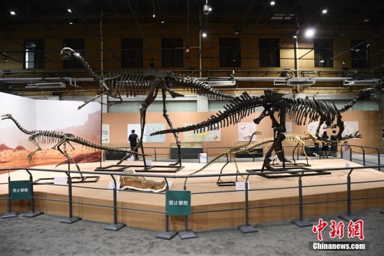“龙行戈壁——内蒙古白垩纪恐龙展”在<em>北京自然博物馆</em>开展