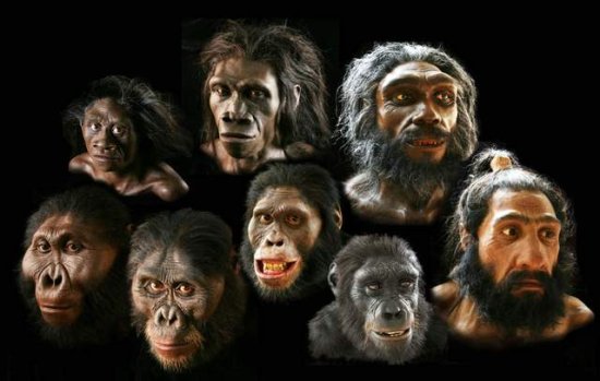 300万年前，第一个人类身份确定！问题是，他的父母是人类吗？