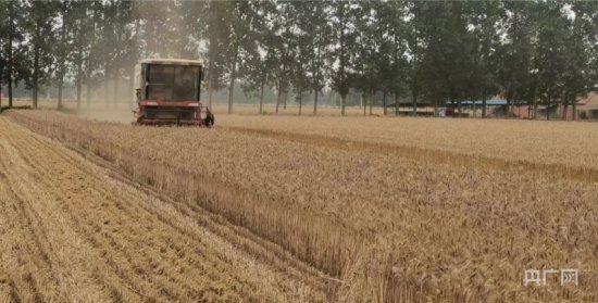 <em>永城</em>市酂城镇卞庄村：四千余亩小麦开收 预计6日前完成收割