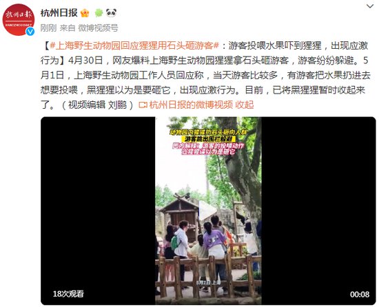 上海野生动物园回应猩猩用石头砸游客：游客<em>投喂水果</em>吓到猩猩，...