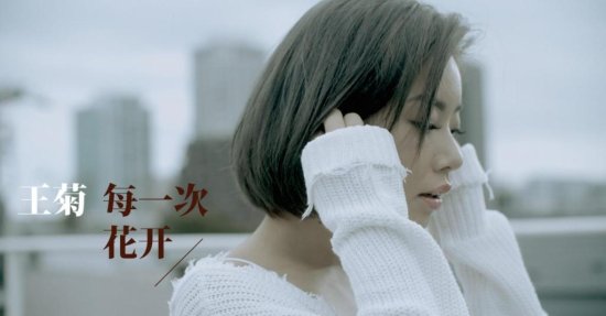 王菊专辑新歌《每一次花开》MV上线 化身小助理复盘成长经历