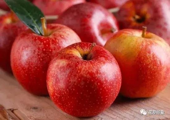 苹果在古代<em>叫什么名字</em>？苹果在中国已经久远的栽培历史