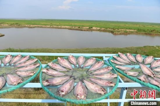 湖南岳阳洞庭渔民上岸 晒风干鱼年产值超2亿元