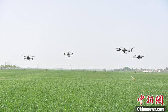 河北衡水出动1500余台植保无人机开展“一喷三防”作业