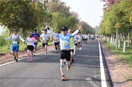 穿越林海 2024民权申甘林带生态马拉松赛开跑