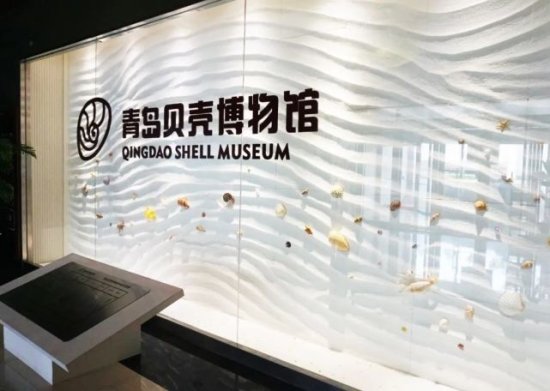 青岛这几家博物馆要火了，被国家“<em>点名</em>”升级！