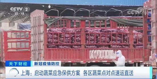 上海启动蔬菜应急保供方案 各区“点对点”速运直送