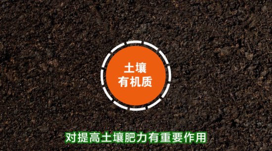 【<em>三农</em>词条】<em>什么是</em>土壤有机质？