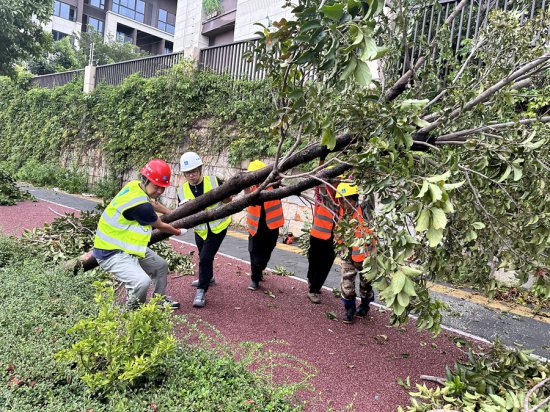 中建海峡厦门市翔安中心<em>公园项目</em>部积极参与台风后应急救援工作