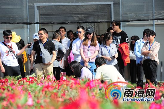 网媒行 | 全国网媒参观东方热带花卉产业园 徜徉“彩色海洋”