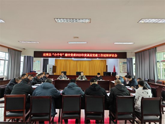 定南县“小个专”综合党委召开基层党组织书记述职评议会