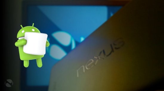 传Google将于9月29日发布Nexus新旗舰