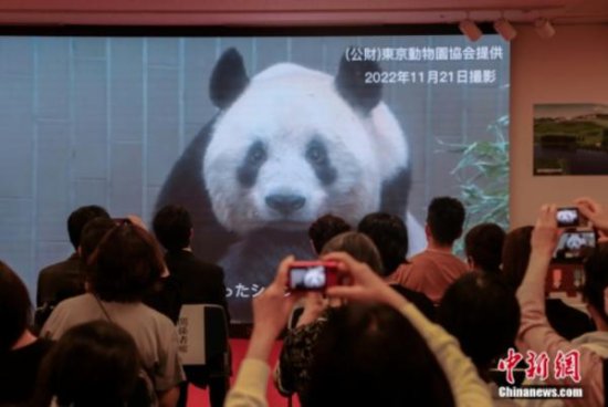 旅外大熊猫的生日“名场面”！你最喜欢哪个？