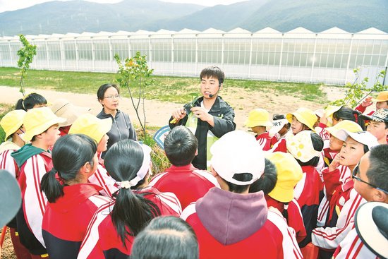 丽江市实验学校开展劳动教育活动