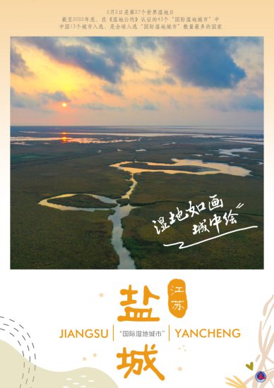 新华全媒+丨海报：湿地如画城中绘