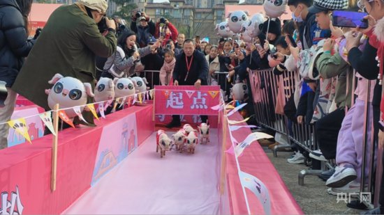 年货节将持续至21日 中国荣昌猪年猪节活动开幕