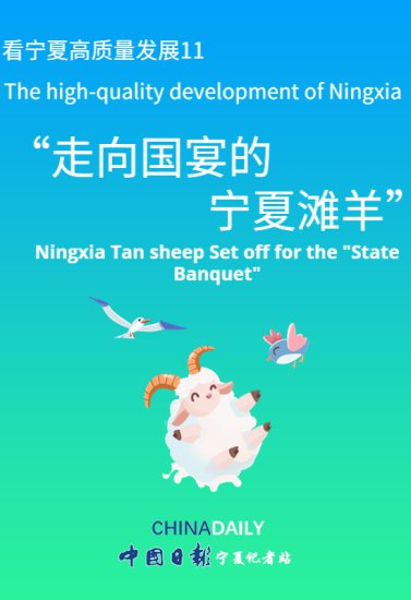 【宁夏高质量发展11】走向“国宴”的宁夏滩羊