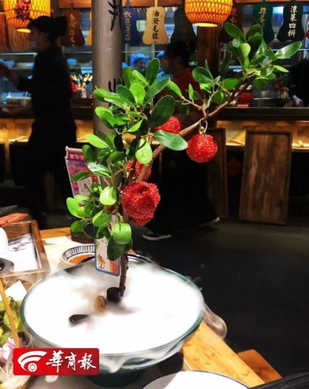 因为杜牧的一首诗 西安两家网红餐厅在法庭演示“仙气飘飘”的...