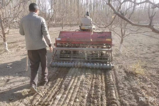 乡村振兴看新疆丨试验田里种下增收“新希望”