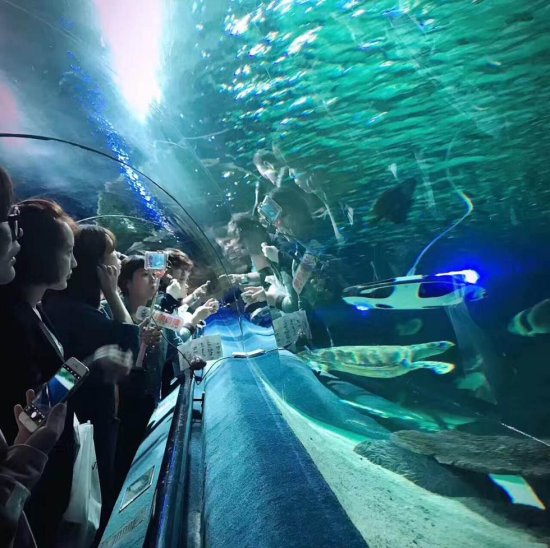 臻迪PowerRay北京发布会现场纪实，开启海底世界之旅