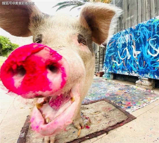 南非<em>猪猪</em>的一幅抽象画卖两万英镑，网友：猪界的毕加索