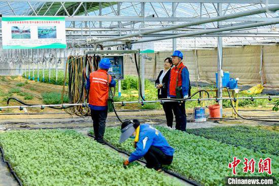 山西忻州：充足电力赋能智慧农业春耕春种